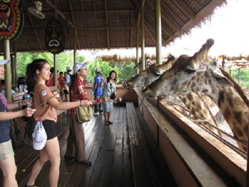 Safari Phú Quốc điểm du lịch hấp dẫn dành cho du khách